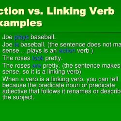 Linking or action verb worksheet