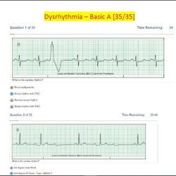 Jones and bartlett emt test answers