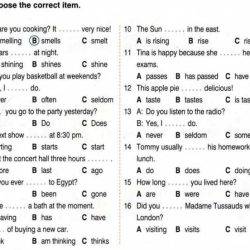 Lección 3 lesson test vhl answers