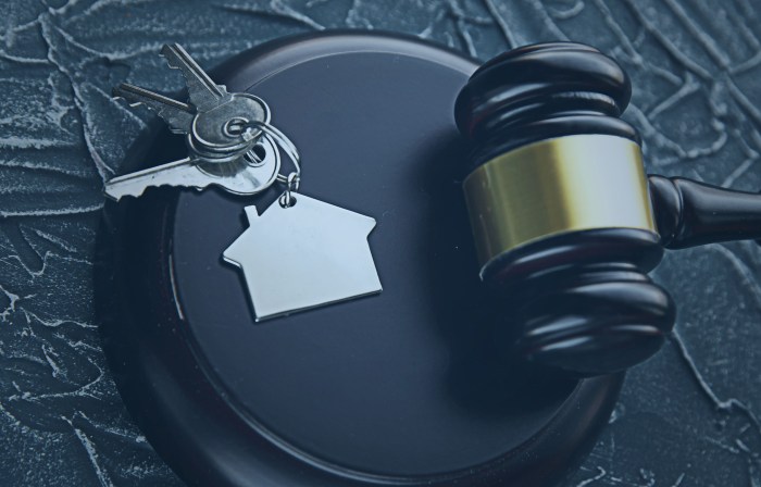 Under the virginia residential landlord and tenant act application deposits